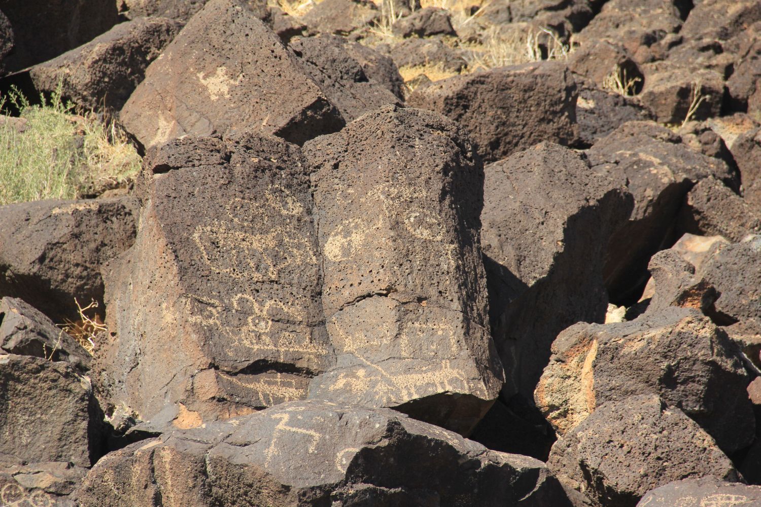 Petroglyph National Monument 